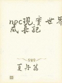 npc现实世界成长记
