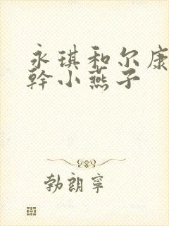 永琪和尔康一起干小燕子