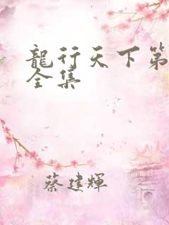 龙行天下第二部全集