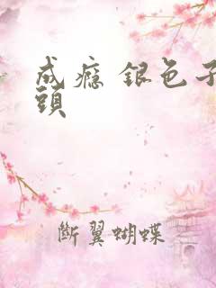 成瘾 银色子弹头