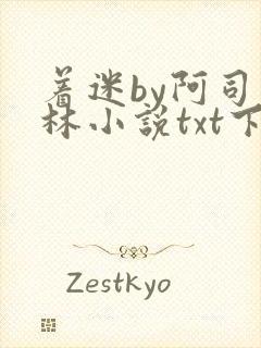 着迷by阿司匹林小说txt下载