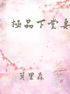 极品下堂妻