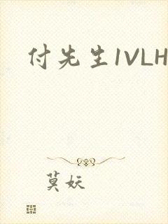 付先生1VLH