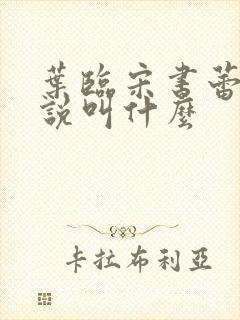 叶临宋书蕾的小说叫什么