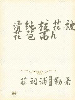 清纯校花被迫开花苞高h