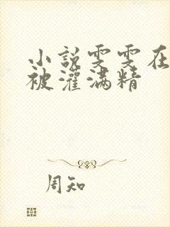 小说雯雯在工地被灌满精