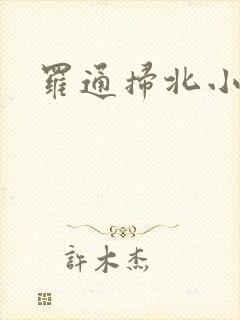 罗通扫北小说