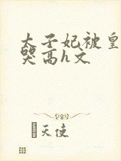 太子妃被皇上c哭高h文