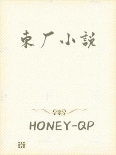 东厂小说