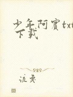 少年阿宾txt 下载