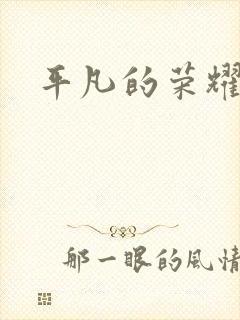 平凡的荣耀小说