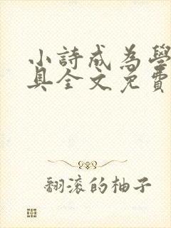 小诗成为学校教具全文免费阅读无弹窗