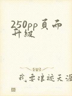 250pp页面升级