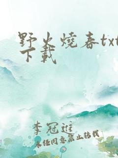 野火烧春txt下载