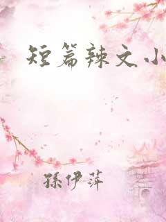 短篇辣文小说