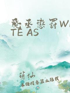 飞丞惩罚WRITE AS