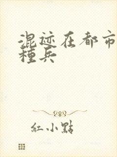 混迹在都市的特种兵