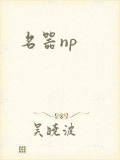 名器np