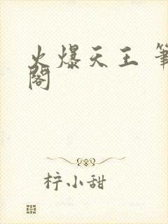 火爆天王 笔趣阁