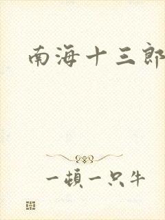 南海十三郎小说