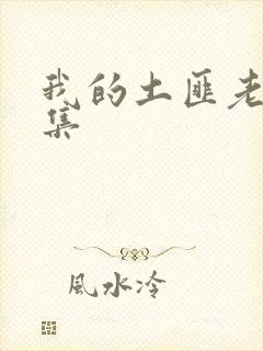 我的土匪老婆全集