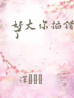 好大你插错地方了