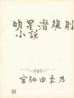 明星潜规则之皇 小说