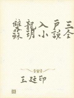 双龙入户三人行苏玥小说全文阅读