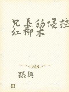 兄长的侵控by红柳木