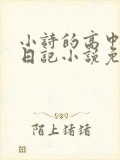 小诗的高中成长日记小说免费阅读