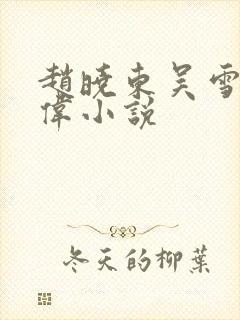 赵晓东吴雪晴郑伟小说