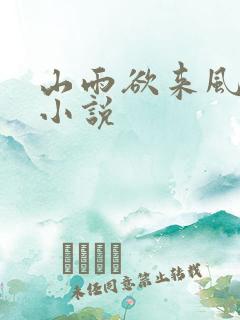 山雨欲来风满楼小说