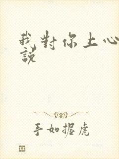 我对你上心了小说