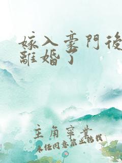 嫁入豪门后我又离婚了