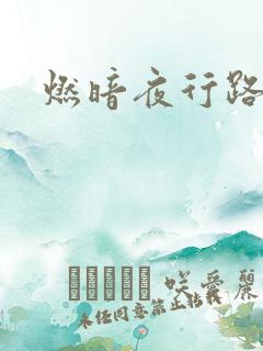 燃暗夜行路