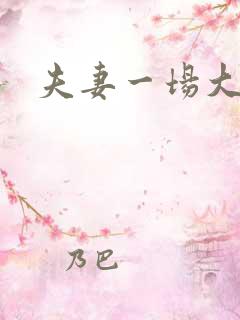 夫妻一场大结局