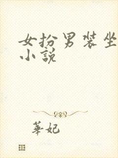 女扮男装坐江山小说