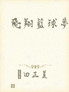 飞翔篮球梦下载