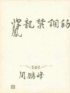 悍龙禁锢的小野凤