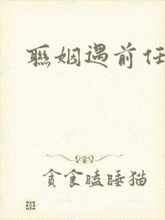 联姻遇前任小说