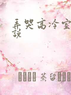 弄哭高冷室友小说