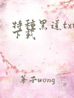 特种黑道txt下载