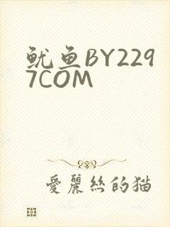 鱿鱼BY2297COM