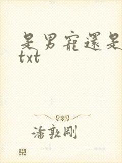是男宠还是禁脔txt