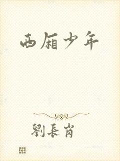 西厢少年