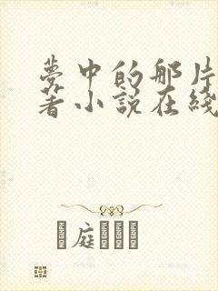 梦中的那片海原著小说在线阅读