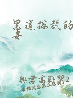 黑道总裁的囚奴妻