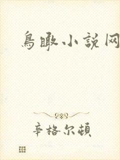 鸟瞰小说网
