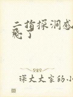 二指探洞感觉要飞了