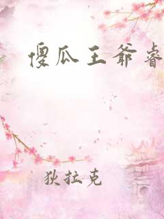 傻瓜王爷睿智妃